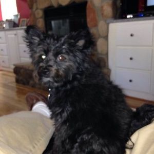 Meet your Posher, Terry